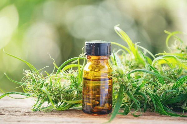 Quels sont les usages du CBD dans la vie quotidienne ?